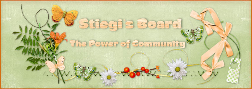 Stiegi's A+S Forum